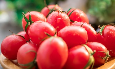 好用的肥料生物有機(jī)肥菌肥，怎么使用效果好？