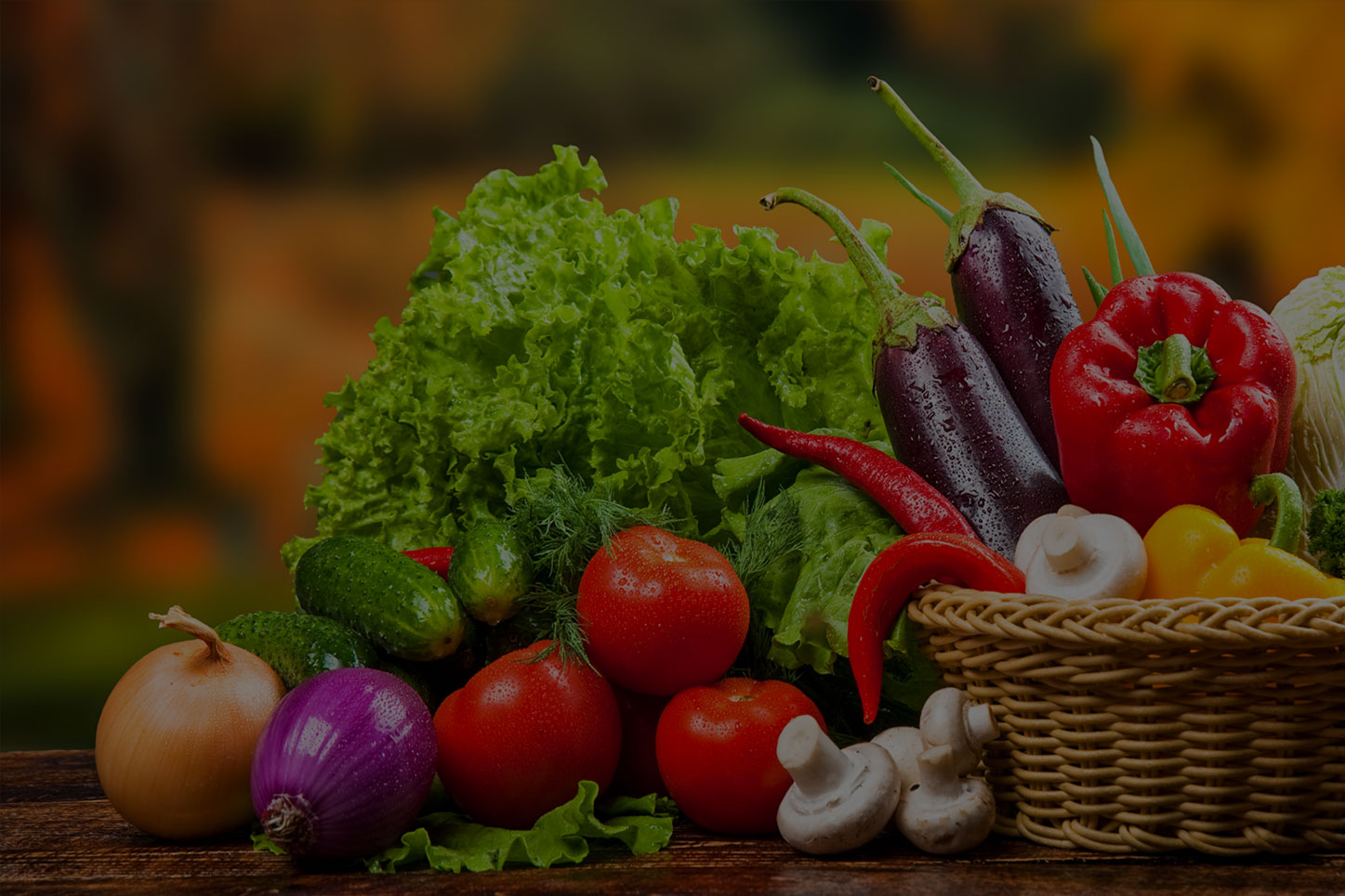 海藻、魚蛋白系列